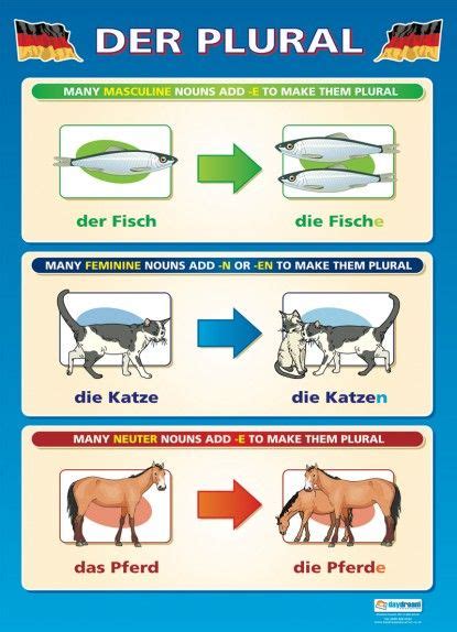 austausch mehrzahl|Declension of German noun Austausch with plural and。